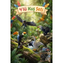 Craftivio 4'lü Gerçekçi Kuş Figür Seti - Eğitici Oyuncak Hayvanlar (Tukan, Baykuş, Kartal, Kuğu)