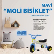 Feyza Design Çocuklar Için Renkli ve Eğlenceli Moli Bisiklet Seti