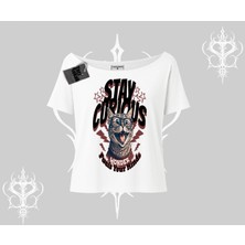 Stay Curious Kedi Baskılı Kayık Yaka Tshirt