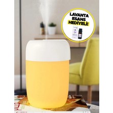 Magnesia Buhurdanlık Aromaterapi Difizörü Lavanta Esansı Hediyeli!