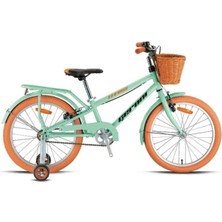 Feyza Design Çocuk Bisikleti 16 Jant Mint Yeşili Siyah Kahverengi, Yüksek Kalite