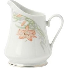 Shaco Design Vintage Crescent Çikolata Fondü Koleksiyonluk