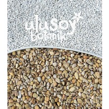 Ulusoy Botanik Sarı Çizgili Dolomit Taş / Gökkuşağı Dekoratif Dolomit Taşı / Saksı, Teraryum, Akvaryum Süsleme Taşları / 1-2 cm / 2 kg