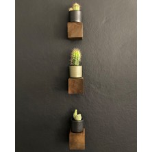 O&A Wood Dekoratif 3'lü Kütük Retro Duvar Rafı, 3'lü Küp Vintage Doğal Ahşap Uçan Raf