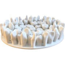 Shaco Design Dekoratif Diş Figür Kutu