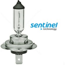 LTG Nova Sentinel H7 Halojen Far Ampülü 12 Volt 55WATT