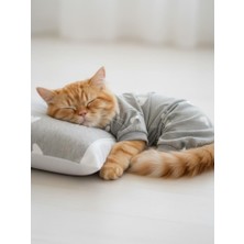 Kemique Soft Hearts Kedi Uyku Seti | Penye Kedi Tulum ve Mini Yastık Takımı | Pamuklu | Tüy Dökülmesini Azaltır |