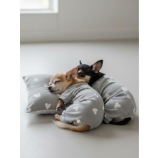 Kemique Soft Hearts Köpek Uyku Takımı | Pamuklu Penye Köpek Tulumu ve Mini Yastık | Küçük Irklar Için | Tüy Dökülmesini Azaltır