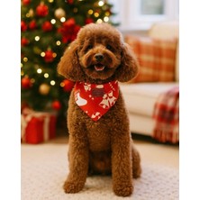 Alphadog Xmas Socks Kedi ve Köpek Bandanası