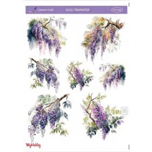 Sulu Transfer LNT135