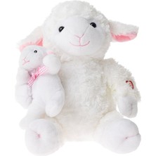 Yavrulu Türkçe Masal Anlatan Kuzu (3 Adet)