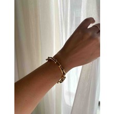 Alp Jewel Gold Renk Modern Zincir Tasarım Çelik Bileklik Kararmaz Xuping