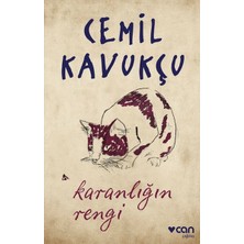 Hatıra Kutusu Karanlığın Rengi