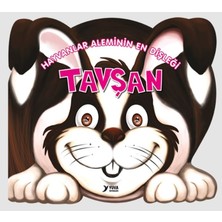 Hatıra Kutusu Hayvanlar Aleminin En Dişleği : Tavşan