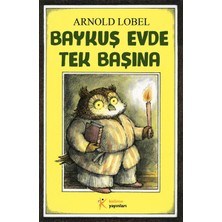 Hatıra Kutusu Baykuş Evde Tek Başına