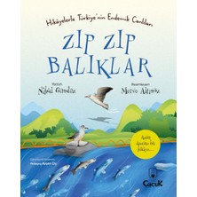 Hatıra Kutusu Zıp Zıp Balıklar - Hikâyelerle Türkiye'nin Endemik Canlıları