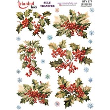 Hayal Sanat Istanbul Hobi Yılbaşı Temalı Sulu Transfer Sty 277 (25X35)
