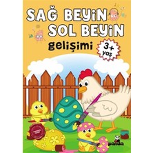 Hatıra Kutusu 3 Yaş Sağ Beyin-Sol Beyin Gelişimi