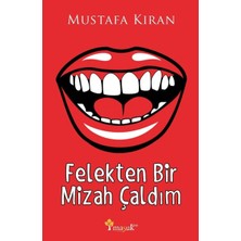 Hatıra Kutusu Felekten Bir Mizah Çaldım