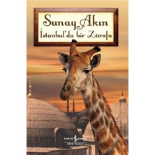 Hatıra Kutusu Istanbul'da Bir Zürafa