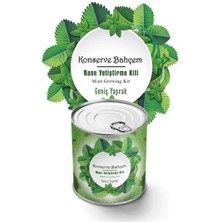 Teknokapsül® Konserve Bahçem Nane Yetiştirme Kiti