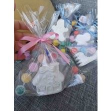 Opulent Accessories Çiçekli Ev Taş Boyama Seti 10ADET,OKULÖNCESI Hediyelik,mezuniyet,karne Okul Hediyesi,doğumgünü Hediyesi