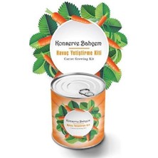 Mertay® Konserve Bahçem Evde Konservede Havuç Yetiştirme Büyütme Kiti
