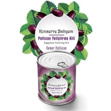 Mertay® Konserve Bahçem Evde Konservede  Kemer Patlıcanyetiştirme Kiti