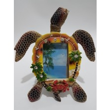 Kaplumbağa Çerçeve