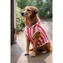 Zendog Zen Dog Çizgili Mikrofiber Köpek Kurulama Havlusu – Emici, Kapüşonlu Köpek Bornozu / Havlu Yelek (Pembe-Beyaz)