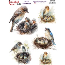 E Hobici Sulu Transfer Kağıdı 25X35CM ST-133