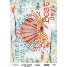 Pirinç Dekopaj Model NO:799