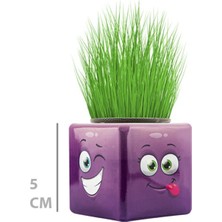 urfakent bilişim ve medya danışmanlık Çim Adam Mini Küp Emoji Figürlü 1 Adet