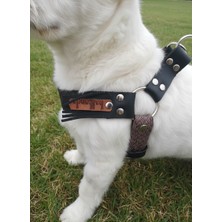 Balkonda Köpek Göğüs Tasması Küçük ve Orta Irk Ayarlamalı Örgü Kolon Kordon ve Nubuk Deri Siyah - Vizon