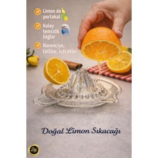 Snow Homs Cam Limon Sıkacağı / Portakal Narenciye Sıkacağı / Mama Püre Bebek