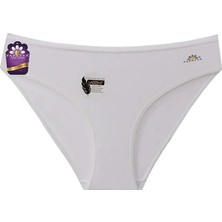 Papatya Lingerie 1850 Kadın Modal Külot