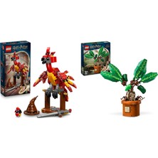 LEGO Harry Potter Seti 52 (76448 + 76433)