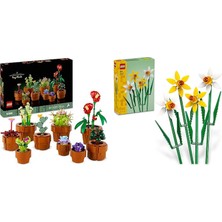 LEGO Botanicals Seti 22 (10329 + 40747)