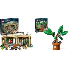 LEGO Harry Potter Seti 96 (76445 + 76433)