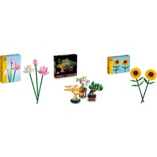 LEGO Botanicals Seti 137 (40647 + 10373 + 40524)