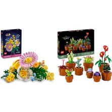 LEGO Botanicals Seti 68 (10347 + 10329)