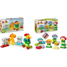 LEGO Duplo Seti 106 (10412 + 10444)