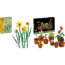 LEGO Botanicals Seti 89 (40747 + 10329)