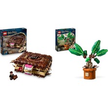 LEGO Harry Potter Seti 77 (76449 + 76433)