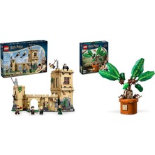 LEGO Harry Potter Seti 78 (76447 + 76433)
