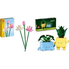 LEGO Botanicals Seti 99 (40647 + 10349)