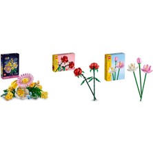 LEGO Botanicals Seti 181 (10347 + 40460 + 40647)