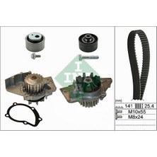 Ina 530047030 - Devirdaimli Eksantrik Gergi Kiti 141×254 P307-P406-PARTNER-BERLINGO-C5-JUMPY 2.0hdı DW10 Scudo Jtd