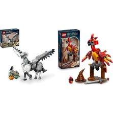 LEGO Harry Potter Seti 100 (76427 + 76448)