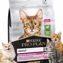 Pro Plan Delicate Kuzu Etli Kuru Kedi Maması 3 kg